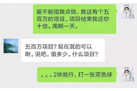 弥勒为什么选择专业追讨公司来处理您的债务纠纷？